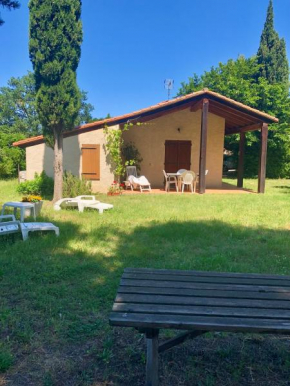 Magnifique villa près de la mer - Jardin privatif